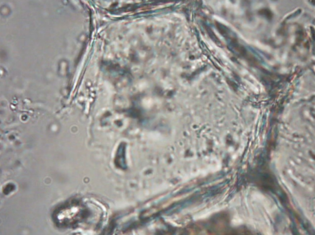 Cryo gallery frame 2